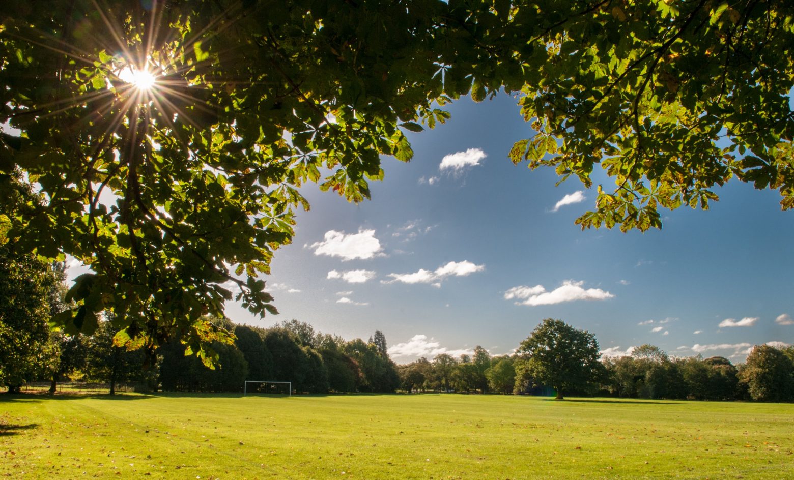 A view of the school football grounds