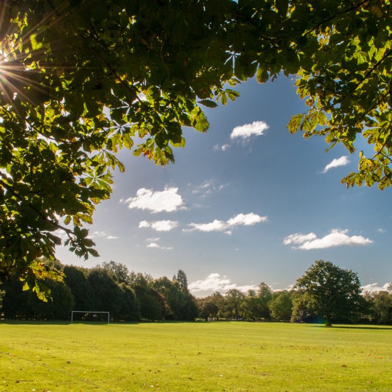 A view of the school football grounds