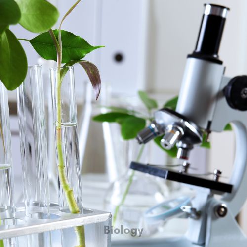 Plants and a microscope on a table