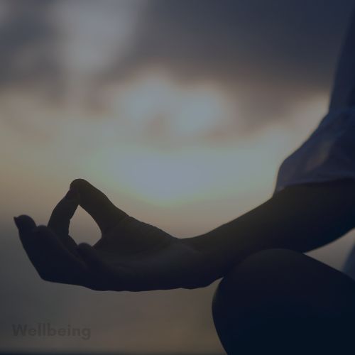 Persons hand showing a yoga pose