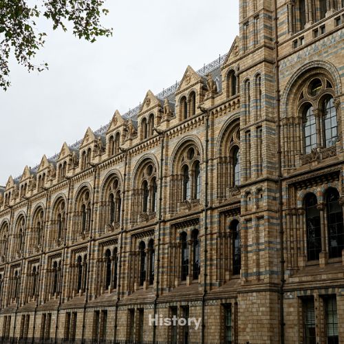 Picture of a building