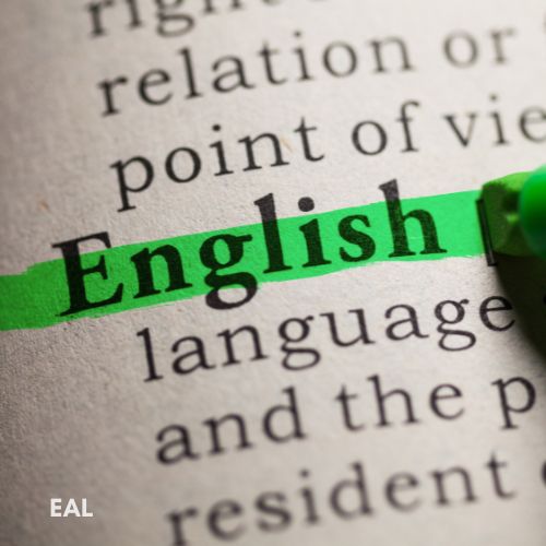 English word highlighted in green
